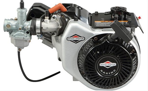 [BS-124335-8106] Briggs &amp; Stratton Genuine 124335-8106 ENGINE WORLD FORMULA II Replacement Part