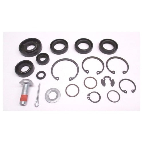 [BS-1752312YP] Briggs &amp; Stratton Genuine 1752312YP SEAL KIT HYDRO GEAR Replacement Part